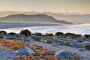 Seaweed and Boulders