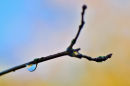 Raindrop reflections