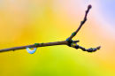 Raindrop reflections #2