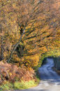 Road to the Wrekin