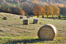 Wrekin harvest