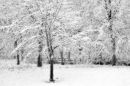 After the Snowstorm