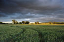 Approaching storm