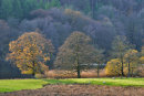 Above Esthwaite