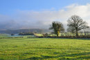 Towards the Wrekin
