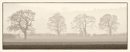 Tree Panorama