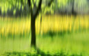Spring Impression