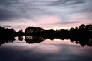 Tranquil Waters