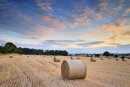 Harvest Sunset(No3)