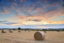 Harvest Sunset (No2)