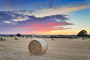Harvest Sunset