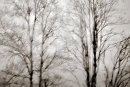 Rainy Day