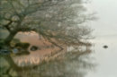 Rydal Reflections