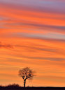 Fiery Sunset