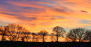 Red Hill Sunset