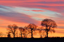 Red Hill Sunset No2