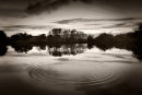 Ripples