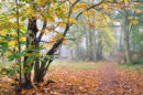 Path to the Wrekin