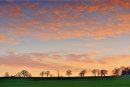 Sunset Detail