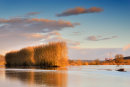 Cressage in Flood
