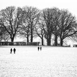 The first snow of 2020...