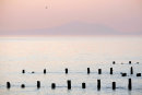 Cardigan Bay Sunset