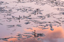 Reservoir Reflections