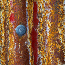 Rust and Grot
