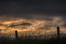 Storm Gathering