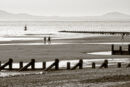 Beach Strollers