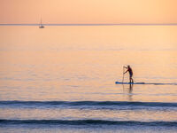 Cardigan Bay, Paddle Boarder.