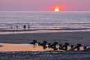 Figures on the Beach