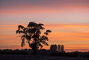 Cludley Sunset