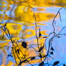 Autumn Reflections