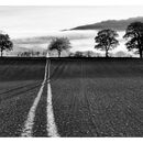 Tracks