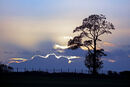 Silver Clouds