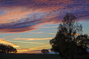 Evening Light