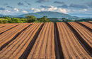 Wrekin View