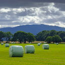 Wrekin Harvest