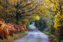 Road to the Wrekin