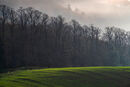 Light and Shadow