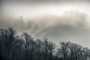 Mist on the Wrekin