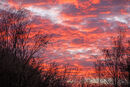 Fiery Sky