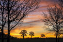 Sunset Silhouette