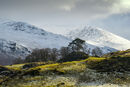 Thirlmere Snow