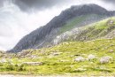Cwm Idwal with Clogwyn y Tarw