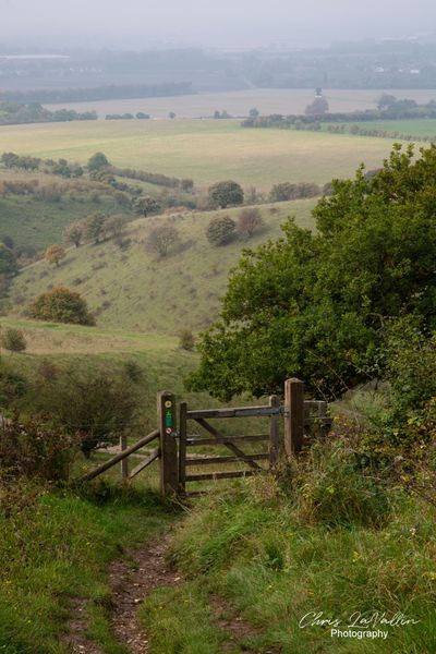 Ashridge Estate