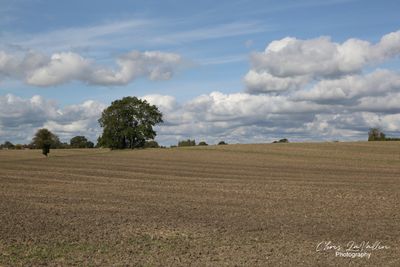 Ellesborough