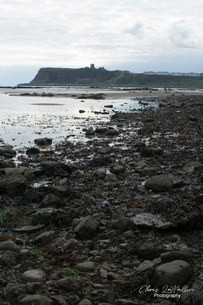 Scarborough Bay