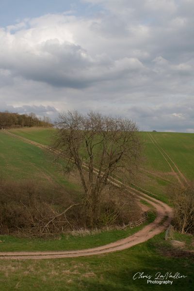 Herefordshire